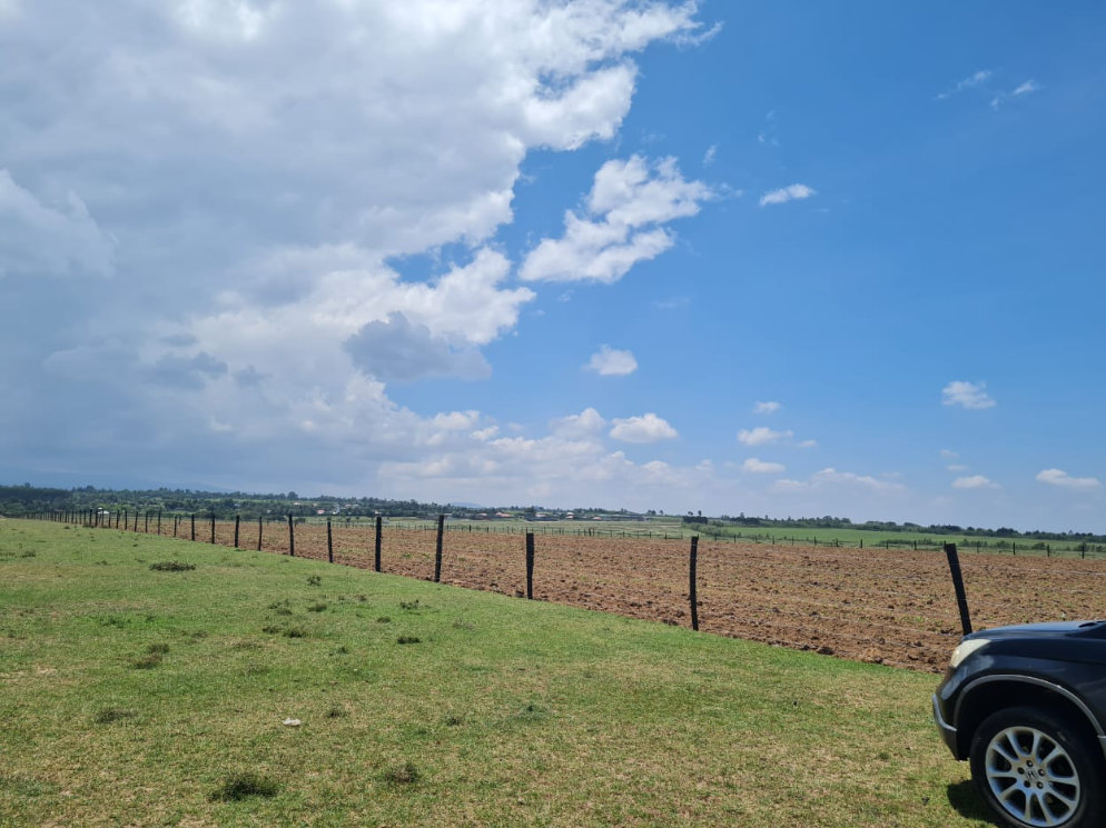 Fenced farmland under a wide Laikipia sky at Solio